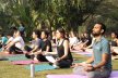 Best Online Yoga Certification Courses by Government of India