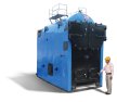 RM SERIES Smoke Cum Water Tube Steam Boilers - Ross Thermal