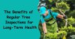 Benefits Of Regular Tree Inspections For Long-Term Health