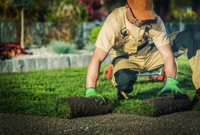 Commercial Landscaping Services Company in Richardson TX