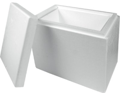 Eco Friendly EarthWise Biodegradable EPS Shippers - Coolers Box For Cold Chain Packaging