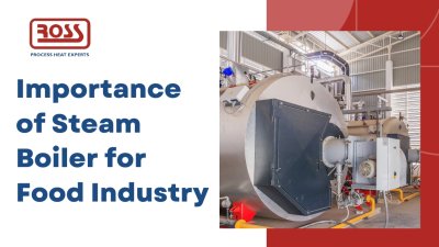 Importance of Steam Boiler for Food Industry