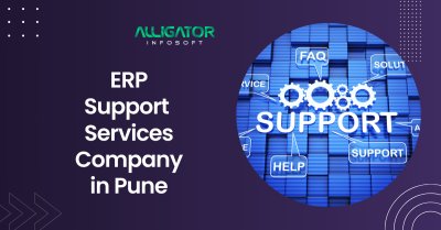 Expert ERP Support Services Company in Pune