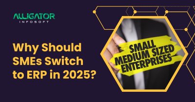 Why Should SMEs Switch to ERP in 2025?