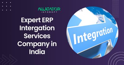 Expert ERP Integration Services Company in India